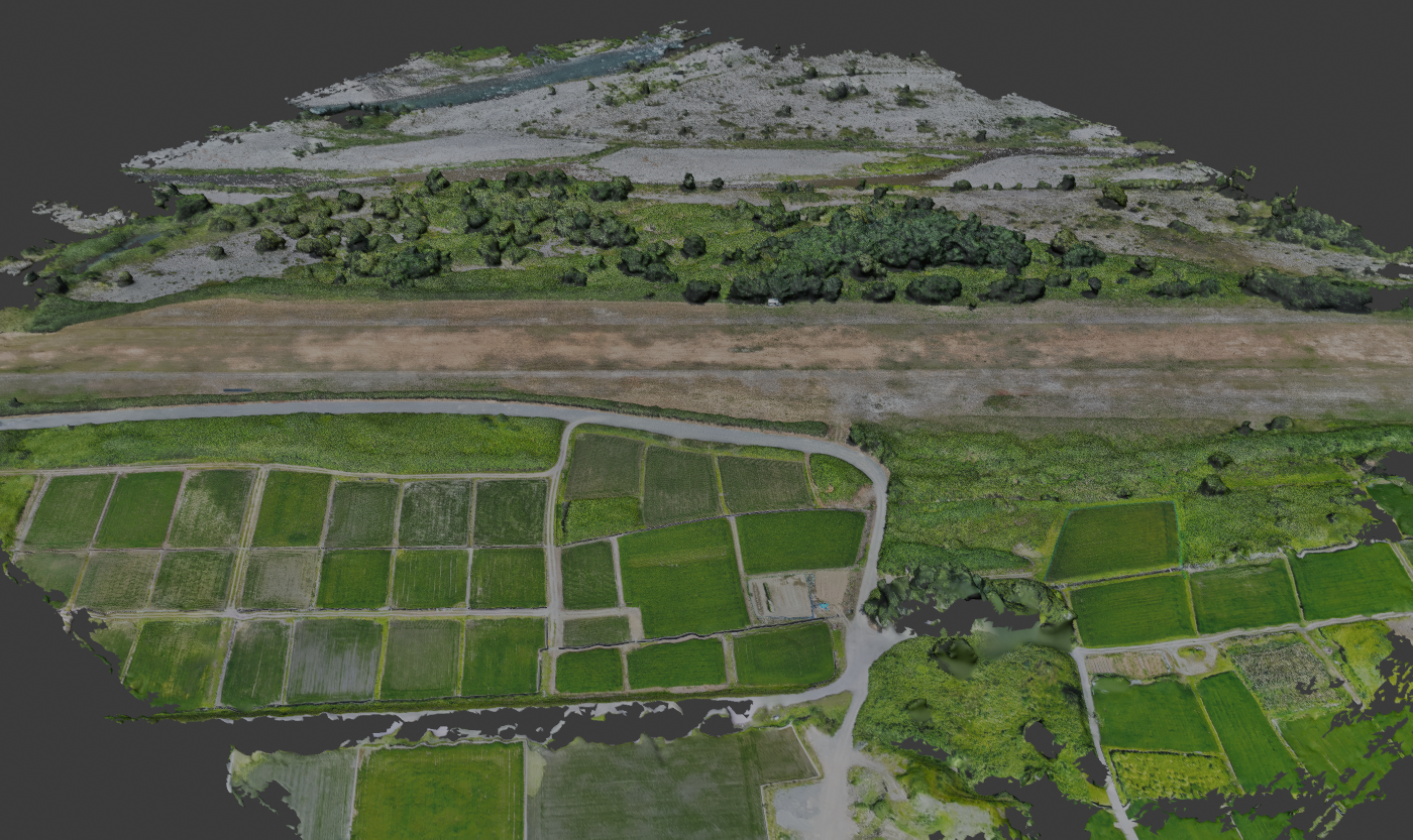 空撮写真から起こした地形の3Dモデル。河原、河畔林、堤防道路、水田の高低差が立体で再現されている