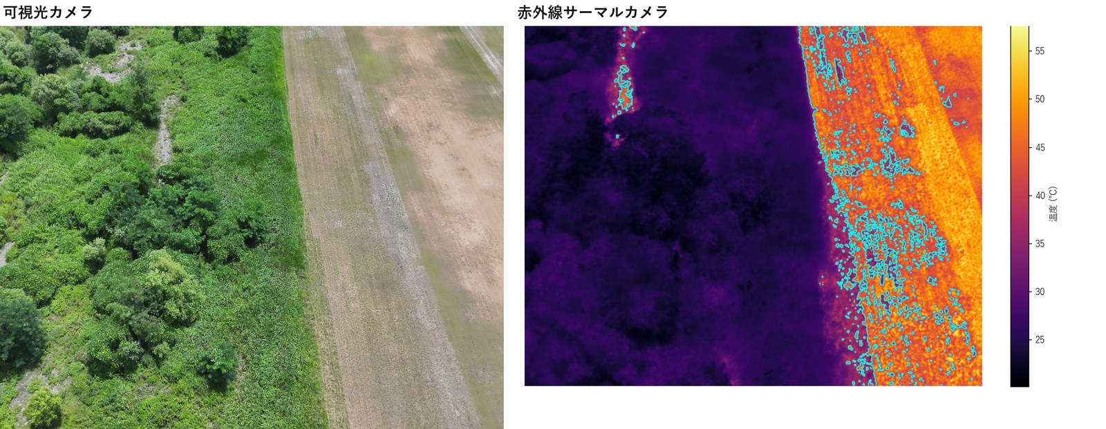 同じ場所を可視光カメラと赤外線サーマルカメラで撮り比べた画像。木々に覆われた面は低温、日に焼けた地面は高温として現れる